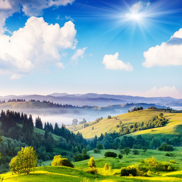روز آفتابی زیبا در چشم انداز کوهستانی است کارپات اوکراین اروپا دنیای زیبایی