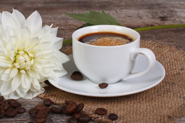 یک فنجان گل کوکب سیاه سفید و قهوه روی میز