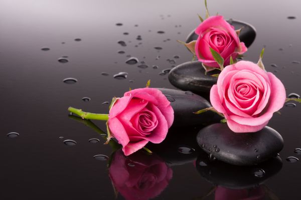 سنگ اسپا سنگ و گل رز هنوز زندگی است مفهوم بهداشت و درمان