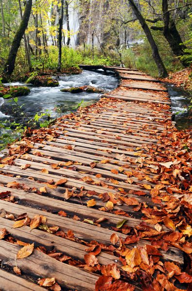 رنگ پاییز در پارک ملی Plitvice کرواسی اروپا