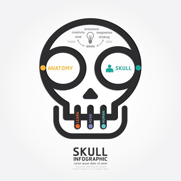 تصویر برداری infographics جمجمه و نمودار طراحی مغز سبک سبک خط