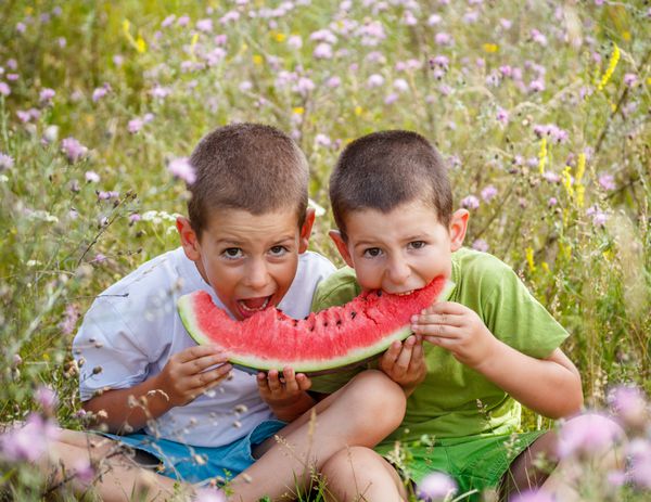 بچه ها خوردن هندوانه قرمز در زمینه پس زمینه