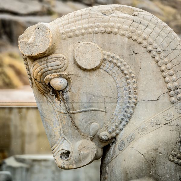 مجسمه اسب از تخت جمشید پایتخت معروف امپراتوری هخامنشیان میراث جهانی یونسکو