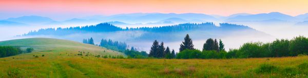 پانورامای صبح تابستان در کوه های کوهستانی مهپا ریج Borzhava Transcarpathian اوکراین اروپا