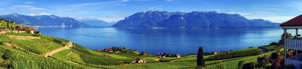 پانوراما در منطقه Lavaux روز Vaud سوئیس