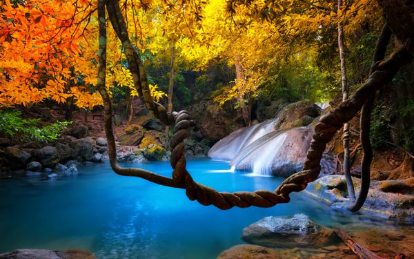 زیبایی شگفت انگیز طبیعت آسیایی آبشار گرمسیری از طریق جنگل های جنگل های متراکم جریان می یابد و به حوض وحشی می افتد
