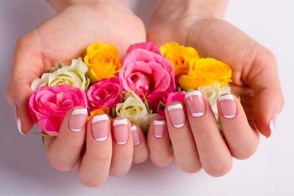 ناخن زنانه نزدیک است بسیاری از رزهای رنگارنگ زیبا در دستهای زن ایده برای مانیکور عروسی