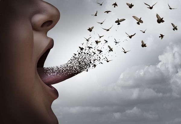 مفهوم ارتباطی یک فرد با دهان باز یک ایده را با یک زبان تبدیل به پرندگان پرواز به عنوان یک استعاره توزیع فکر برای بیان و ایده های بازاریابی
