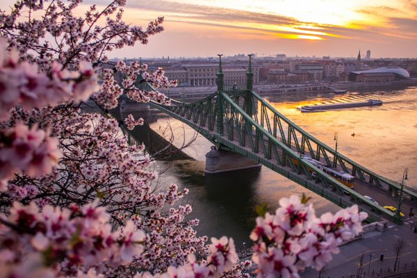 اولین نشانه های بهار بیش از بوداپست