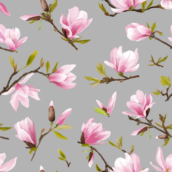 طراحی گرافیک گل پس زمینه گل های مگنولیا الگوی بدون درز در بردار