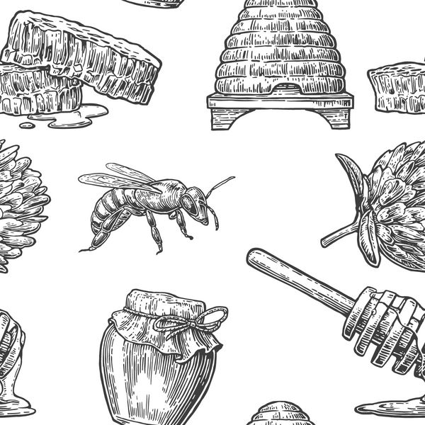 الگوی بدون عسل کوزه و لانه زنبوری عنصر طراحی دست کشیده شده تصویر برداری بردار جدا شده بر روی زمینه سفید