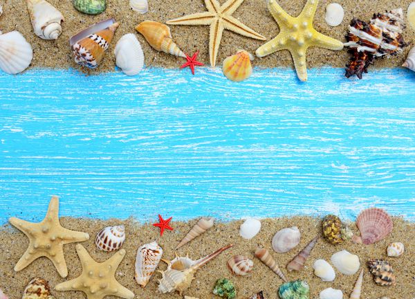 شن و ماسه seashells و ستاره دریایی در زمینه های چوبی آبی