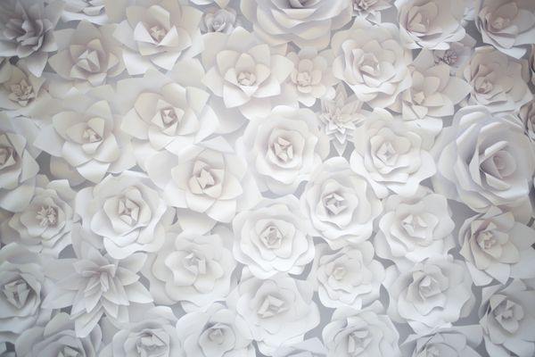 پس زمینه های تزئینی از کاغذ سفید گل