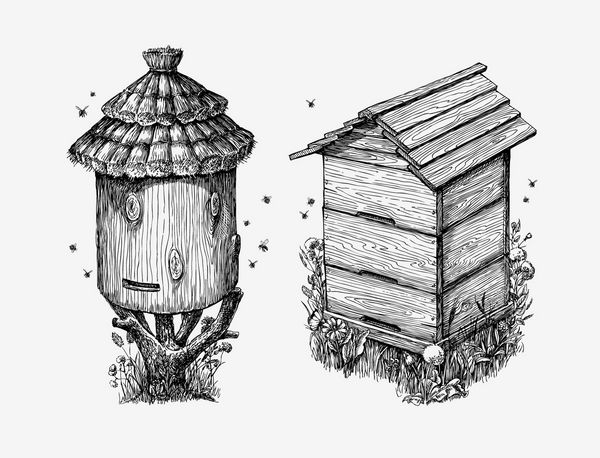کندو زنبور عسل چوبی دست کشیده شده طرح پرورش زنبور عسل عسل زنبور عسل تصویر بردار