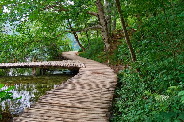 مسیر جاده ای در پارک ملی Plitvice کرواسی با جریان آب