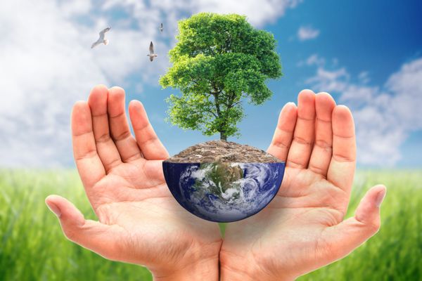 دست در آغوش درخت بزرگ جهان در مقدمه طبیعت مفهوم سازگار با محیط زیست و اکولوژی محیط زیست عناصر این تصویر مبله توسط ناسا