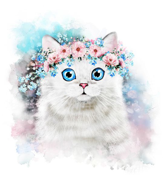 گربه ناز آبرنگ گربه تصویر تی شرت چاپ کارت تبریک بچه گربه پوستر گردن گل و رنگ چلپ چلوپ جدا شده