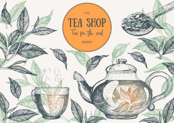 چای فروشگاه قاب تصویر بردار طراحی کارت های برداری با چای پوست چای خانه مجموعه دست کشیده شده بردار گرافیک خطی