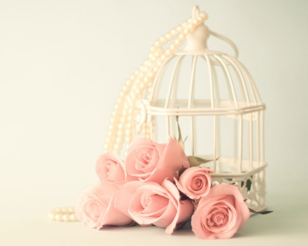 گل رز صورتی در مقابل یک قفس پرنده و مروارید