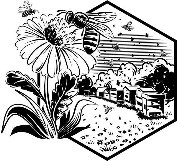 قاب شش ضلعی با مناظر فصلی کندوها و زنبورهای کارگر روی گل