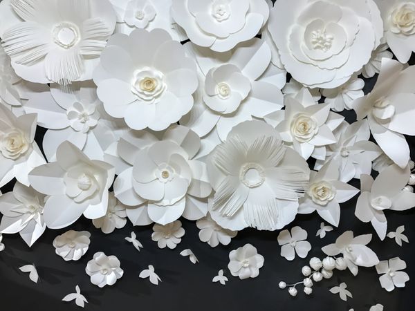 گروه زیبا از سبک های مختلف دستباف Quilling الگو سفید گل با پروانه کوچک ساخته شده از کاغذ در پارچه سیاه جلد دیوار استفاده می شود به عنوان الگو از گل های کشور سبک قدیمی یکپارچهسازی با سیستمعامل