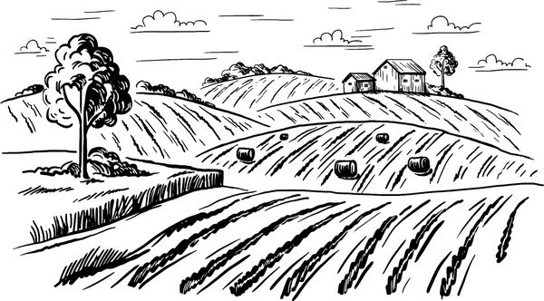 گندم چشم انداز روستایی در سبک گرافیکی دست کشیده شده و به تصویر برداری تبدیل شده است
