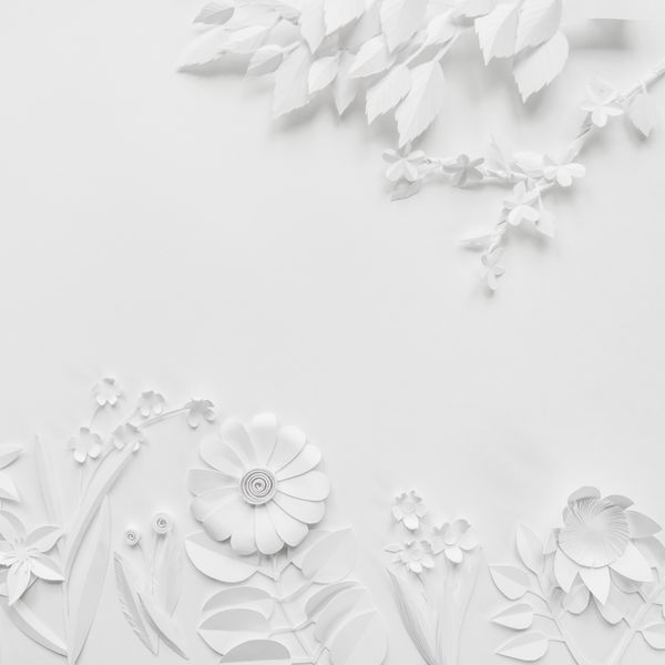 کاغذ سفید گل کاغذ دیواری بر روی زمینه سفید پس زمینه تابستان بهار عناصر طراحی گل