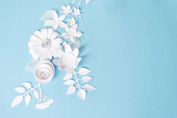 قاب با گل کاغذ سفید در پس زمینه آبی