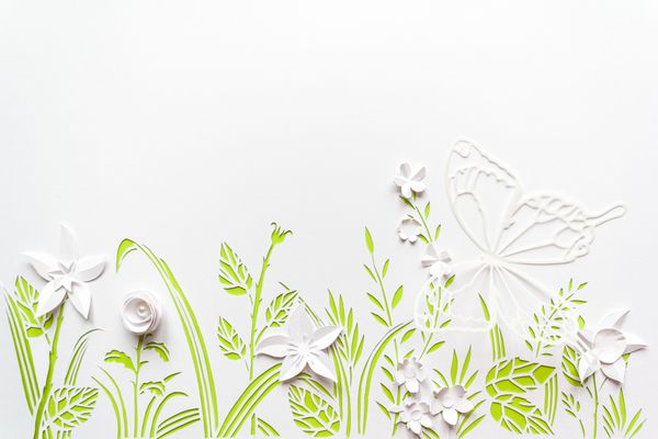 چمنزارهای تابستان تابستان گل های سفید از کاغذ بر روی زمینه سفید با برگ های سبز حک شده است برش کاغذ