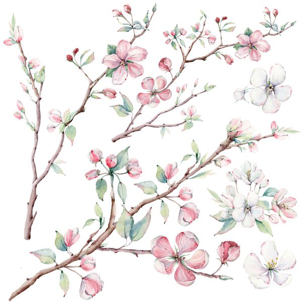 hand drawn apple tree branches and flowers blooming tree It