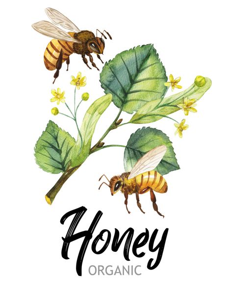 نقاشی آبرنگ رنگ دست نقاشی زنبور عسل پستان عسل