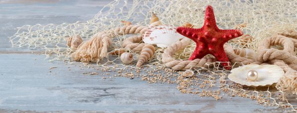 پوسته های دریایی در ماهی شبکه در هیئت مدیره چوبی زمینه تعطیلات تابستانی