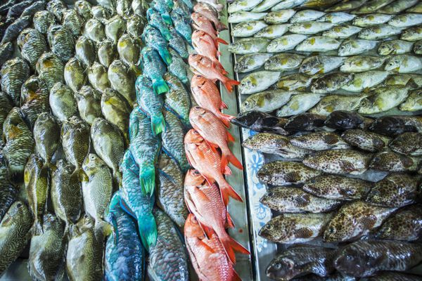 ماهی در یک بازار در پولینزی