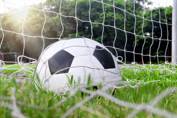 فوتبال فوتبال در شبکه هدف با زمینه چمن سبز