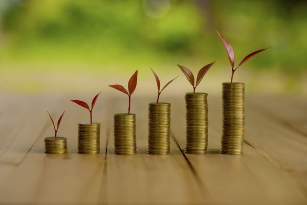 گیاه رشد در ردیف سکه پول CSR در کسب و کار