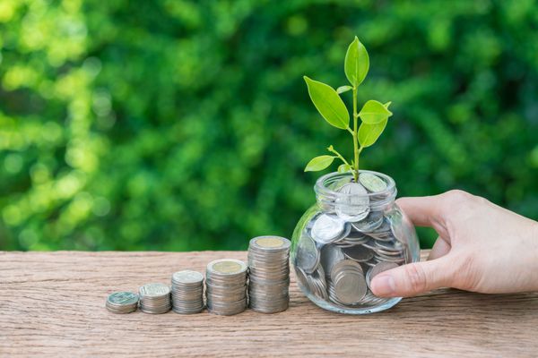 پشته سکه و یخچال نگهدارنده دست با گیاه رشد جوانه به عنوان مفهوم سرمایه گذاری مالی