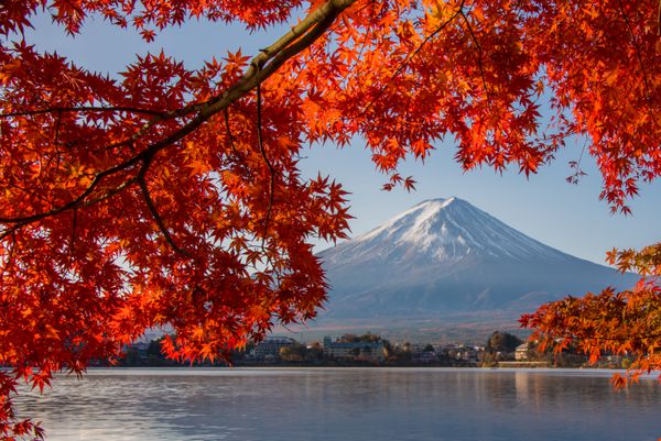 کوه فوجی پاییز در کوه فوجی ژاپن دریاچه Kawaguchiko فصل رنگارنگ پاییز و کوه فوجی با مهتاب صبح و برگ های قرمز در Kawaguchiko دریاچه ژاپن