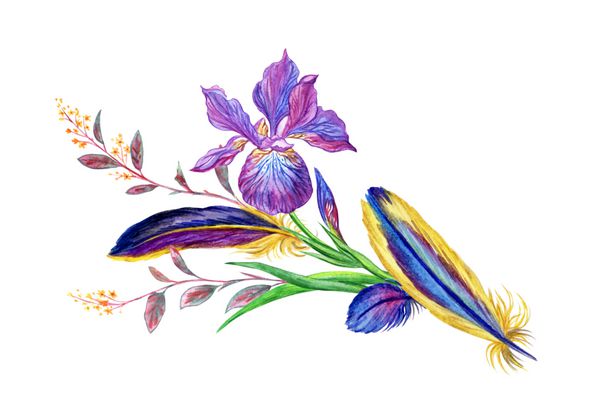دسته گل آبی ارغوانی پرها و شاخه های گل نقاشی آبرنگ در زمینه سفید