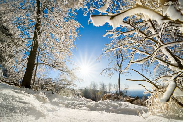 چشم انداز زمستانی منظره با خورشید برف درختان و آسمان آبی روشن است