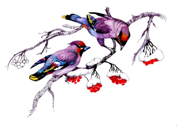 پرنده آبرنگ نشسته در شاخه نقاشی دست گل نقاشی گل کارت پستال