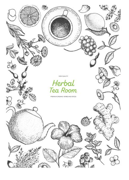 فروشگاه چای گیاهی قاب تصویر برداری بردار طراحی برداری با ترکیبات چای گیاهی مجموعه دست مجموعه کشیده شده پوستر عمودی سبک حکاکی شده