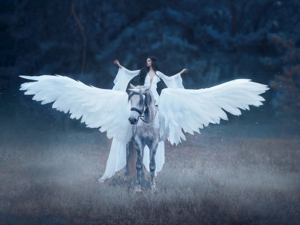 جلف زیبا جوان با راه رفتن با یک اسب شاخدار او نور نور باور نکردنی لباس سفید پوشانده است عکاسی هنری