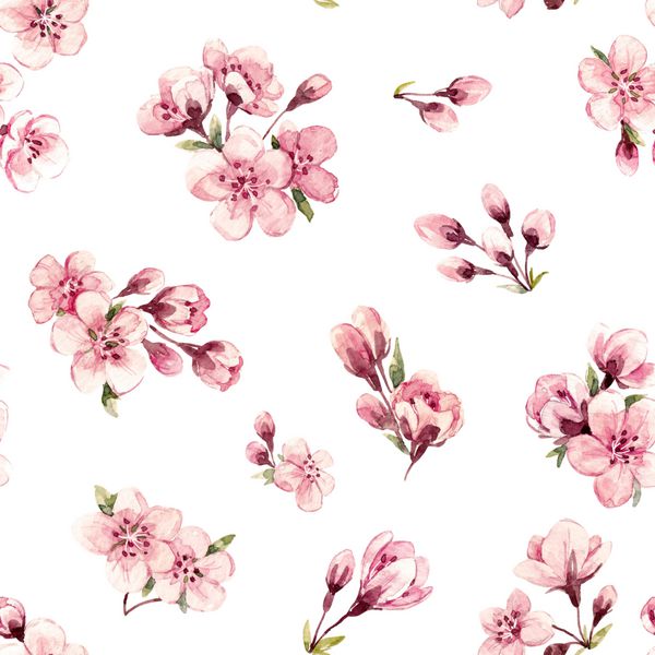 Watercolor pattern branches with Sakura flowers cherry blossoms Women