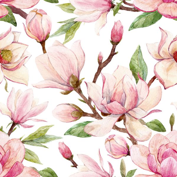 الگوی آبپوش یک شاخه با گل گل صورتی Magnolia گل کارت بهار