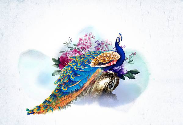 پوستر دیواری سه بعدی طاووس فانتزی زیبا