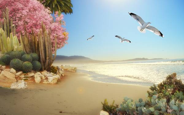 پوستر دیواری سه بعدی  از منظره ی دریا و مرغان دریایی
