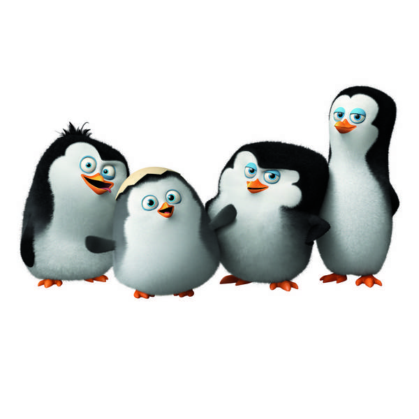 کودکیه 4 پنگوئن مادگاسکار