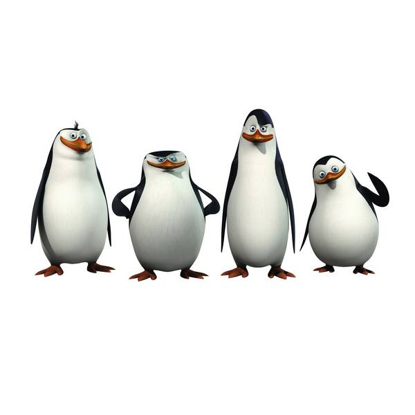پنگوئن های ماداگاسکار ایزوله