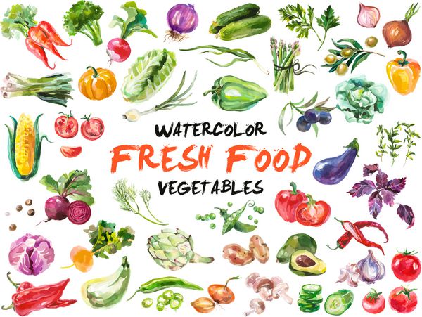 مجموعه رنگهای آبرنگ رنگی از سبزیجات عناصر طراحی مواد غذایی تازه دست را که در زمینه سفید جدا شده است ترسیم می کند