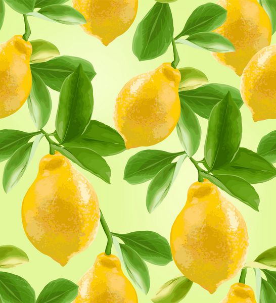 الگوی بدون درز لیموها روی یک شاخه